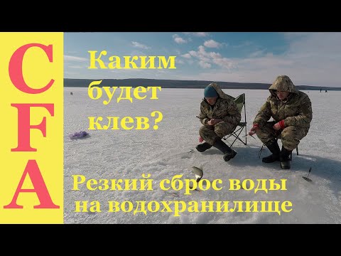 Видео: Резкий сброс воды на водохранилище - каким будет клев?  Зимняя рыбалка 2019