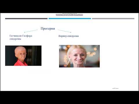 Видео: Ағзаның қартаю себептері неде?