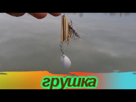 Видео: Грушка с лепестком- это просто чудо!