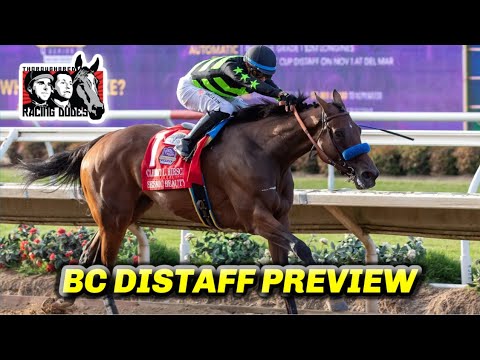 Видео: Выбор и предварительный обзор Breeders' Cup Distaff 2025