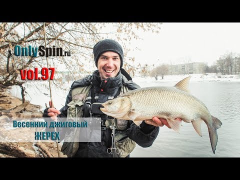 Видео: Джиговый весенний жерех  #OnlySpin