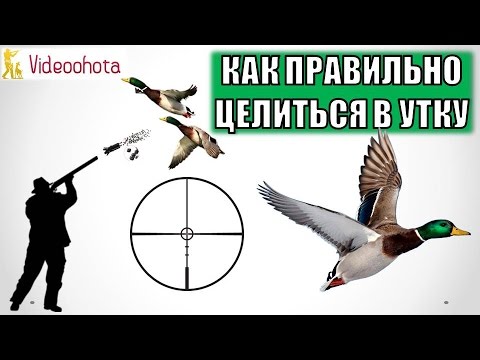 Видео: Как ПРАВИЛЬНО целиться в утку на охоте? Videoohota