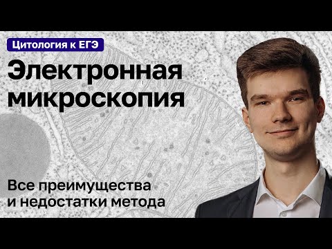 Видео: 2.3. Электронная микроскопия | Цитология к ЕГЭ | Георгий Мишуровский