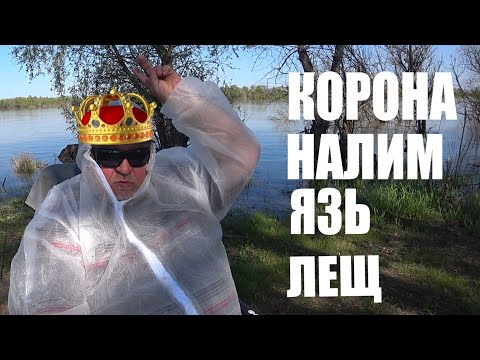 Видео: Рыбалка на донки . Река . Язь . Налим . Лещ .