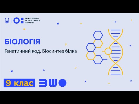 Видео: 9 клас. Біологія. Генетичний код. Біосинтез білка