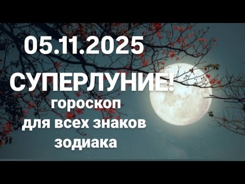 Видео: 05.11.2025- СУПЕРЛУНИЕ🌟НЕ ПРОПУСТИ ВОЗМОЖНОСТЬ РАЗРЕШИТЬ ВАЖНЫЕ ДЕЛА!