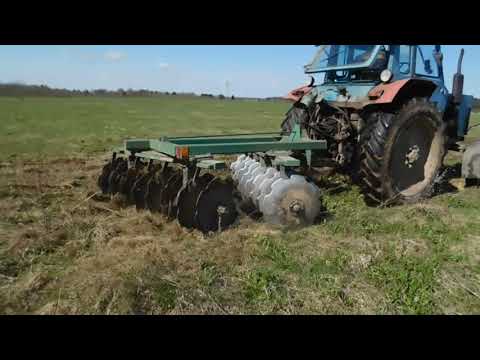 Видео: МТЗ 80 дискует целину под пахоту весной!