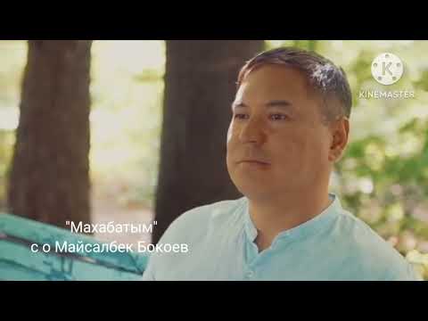 Видео: "Махабатым" с о Майсалбек Бокоев