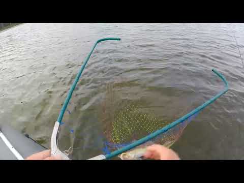 Видео: Рыбалка поймал, отпусти!) #fishing #поклевка #рыбалканаозере #джиг #рыбалка #судак #судакнаджиг