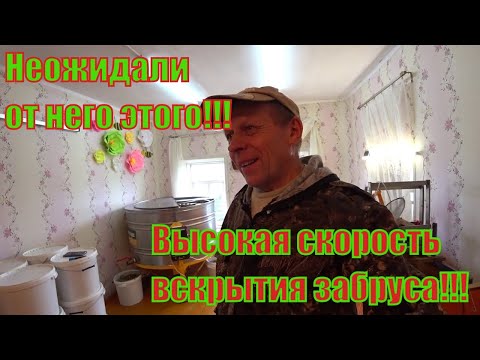 Видео: ОТКАЧКА МЁДА НА НАШЕЙ ПАСЕКЕ,ВСКРЫТИЕ ЗАБРУСА ФЕНОМ ПЛЮСЫ И МИНУСЫ.