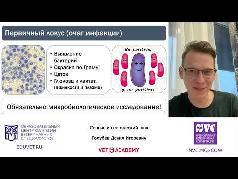 Видео: «Сепсис и септический шок». Голубев Данил