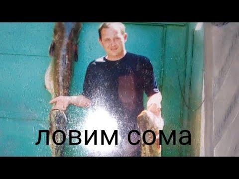 Видео: Три монтажа для ловли сома