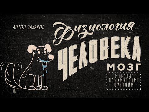 Видео: Чего мы не знаем о мозге? Мозг и высшие психические функции. Физиология человека — 10 урок