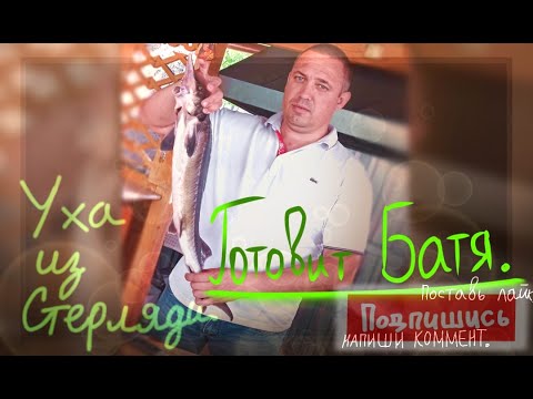 Видео: Уха из стерляди
