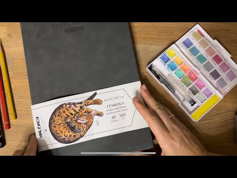 Видео: Изрисовала скетчбук от Малевичъ GrafArt 160 для графики. Листалка и впечатления