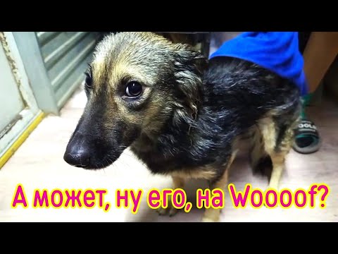 Видео: Пятёрка избранных готова к фестивалю! А вот мы...