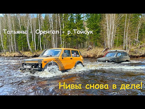 Видео: Нивы снова в деле! Тальяны - Оренгол - р.Тойсук