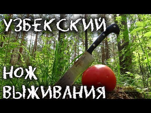 Видео: Я В ШОКЕ! Узбекский нож выживания! ПЧАК уделал всех! Очень очень острый нож!