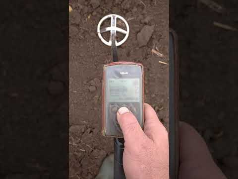 Видео: Быстрая настройка баланса грунта XP Deus