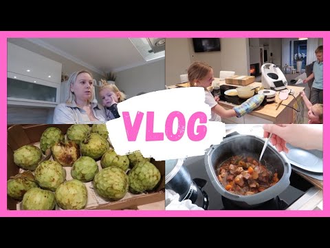 Видео: VLOG🇩🇪: Лиза болеет, декорация отменяется 🎄 Готовим с детьми вафли, яблочный пирог 🥧 новый фрукт