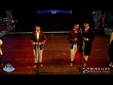 Видео: Етнос Ревија на народни носии во Радовиш 2022