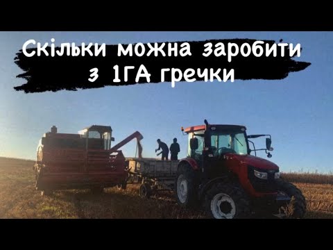 Видео: Найвигідніша культура яку ми сіяли‼️⁉️⁉️ Можна заробити і не напрягатись‼️⁉️⁉️