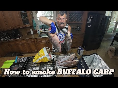 Видео: 🔥 Smoking a Buffalo Carp in the Smokehouse🐟Как закоптить Буффало-Карпа 😂🔥