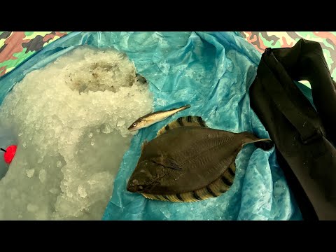 Видео: 03.01.24 рыбалка в Находке, Рыб пойман