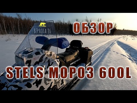 Видео: Снегоход Stels МОРОЗ 600 !! Честный обзор, по глубокому снегу! 3 года эксплуатации!!