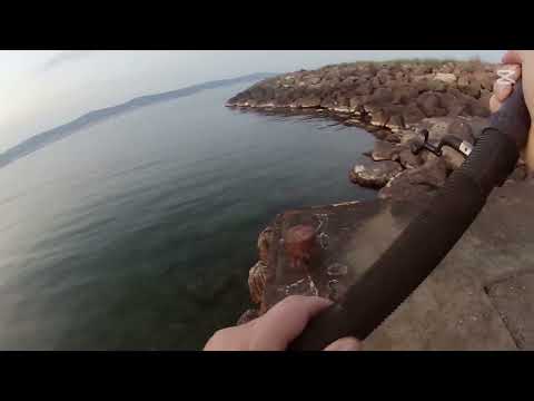 Видео: За сафрид от кея