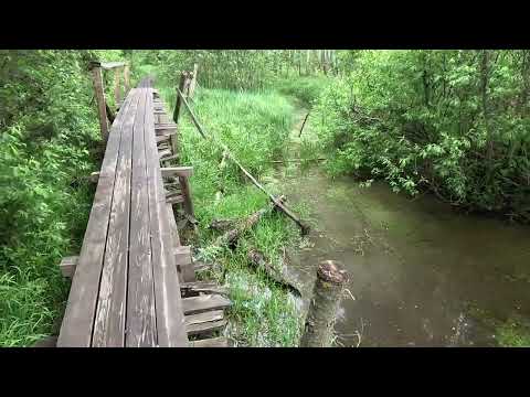 Видео: Исток реки Яуза и окрестности 02.06.2024