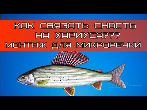 Видео: Настрой на хариуса на МИКРОРЕЧКЕ! Верный монтаж оснастки