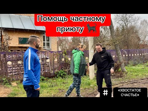 Видео: ПОМОЩЬ ЧАСТНОМУ ПРИЮТУ! #хвостатоесчастье 
