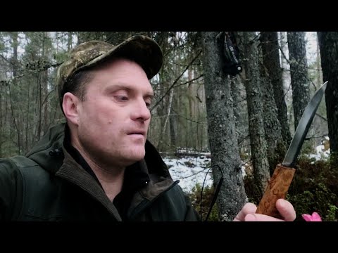 Видео: УДАЧНАЯ ОХОТА С ЛАЙКАМИ НА ЛОСЯ/"ПРОСТО НОЖ" и БАТИН ТОПОР!!!