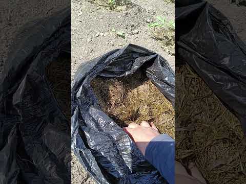 Видео: 3 июня 2025 г.
