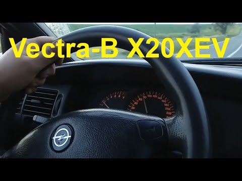 Видео: Vectra-B X20XEV. Цокотят гидрики.