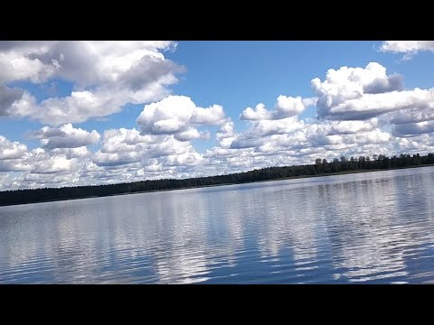 Видео: Воробьёвская Уха.в "День рождения".28.08.2025.