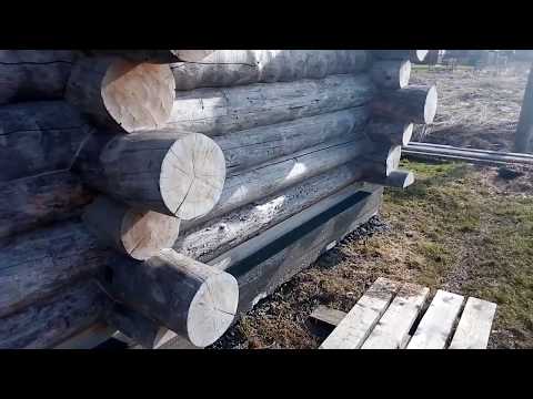 Видео: Сруб из сухостойного бревна спустя 5 лет