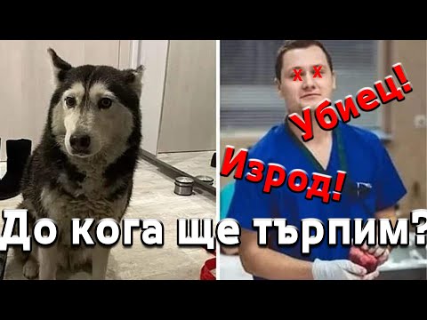 Видео: Наричаме се „хора“. А къде е човечността?