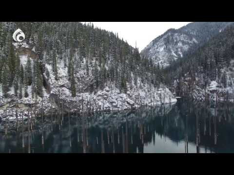 Видео: Көлсай \ Арнайы хабар \ Асыл арна