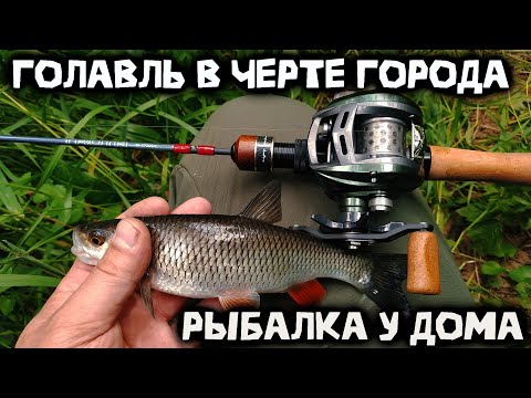 Видео: Ловля голавля в черте города | Кастинговая снасть | Purelure Trota