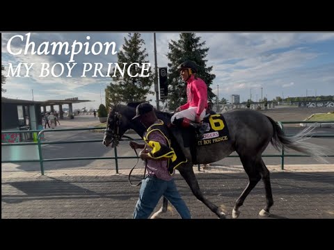 Видео: МОЙ МАЛЬЧИК ПРИНЦ - Сердце чемпиона