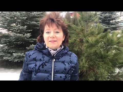 Видео: КОГДА ОТКРЫВАТЬ РОЗЫ ВЕСНОЙ / правильное раскрытие роз весной. ч.1