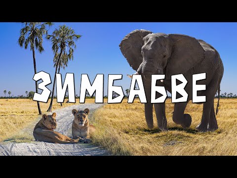 Видео: Слоновье царство Зимбабве... и каша из баобаба / Hwange National Park, Zimbabwe