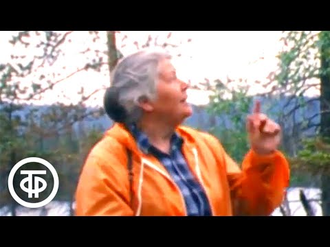 Видео: Мир растений. Лапландский заповедник (1985)