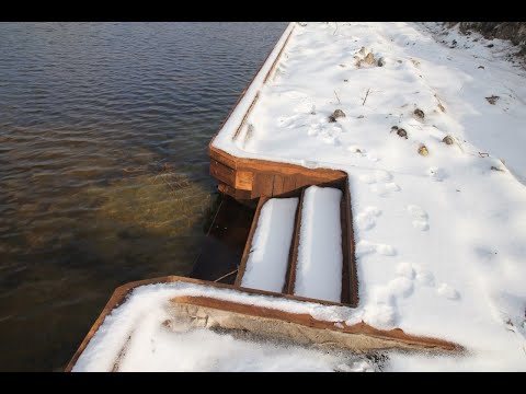 Видео: Уникальный подход к повышению прочности берега. Берегоукрепление дубом. Частина 1.