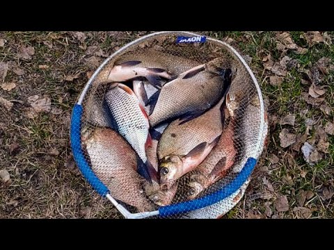 Видео: Вот Это уже по интересней, ловля на фидер на Белоярском водохранилище...