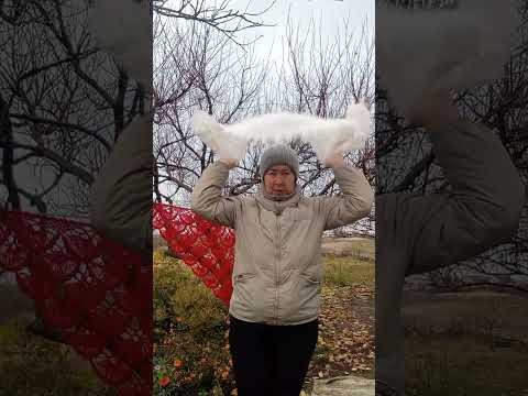 Видео: 5 ноября 2025 г.