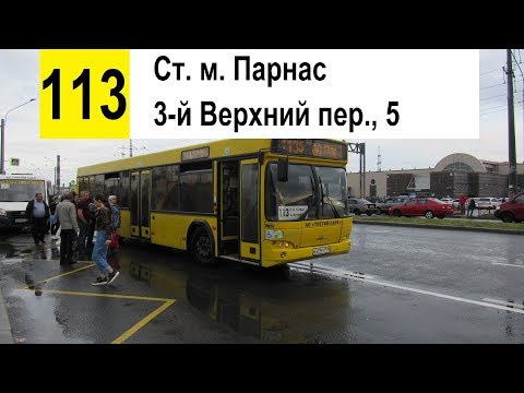 Видео: Автобус 113 "Ст. м. "Парнас" - 3-й Верхний пер., 5" (смена перевозчика)