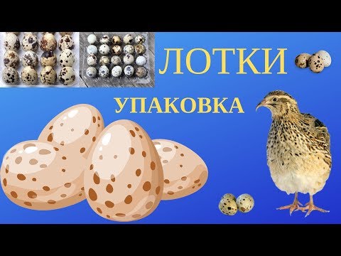 Видео: ЛОТКИ ДЛЯ ПЕРЕПЕЛИНЫХ ЯИЦ. КАЧЕСТВО.